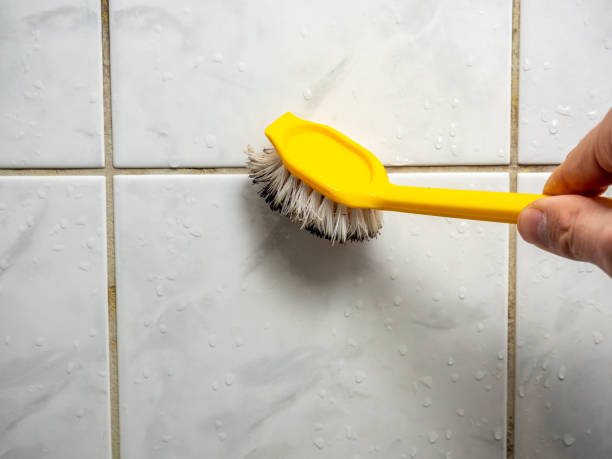 Best Certified Mold Removal  in Madison Heights, MI