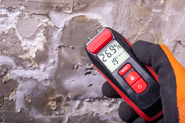 Best Mold Removal Company Near Me  in Madison Heights, MI